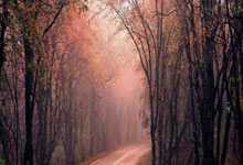 檢疫實(shí)驗(yàn)室的安排和設(shè)計(jì)